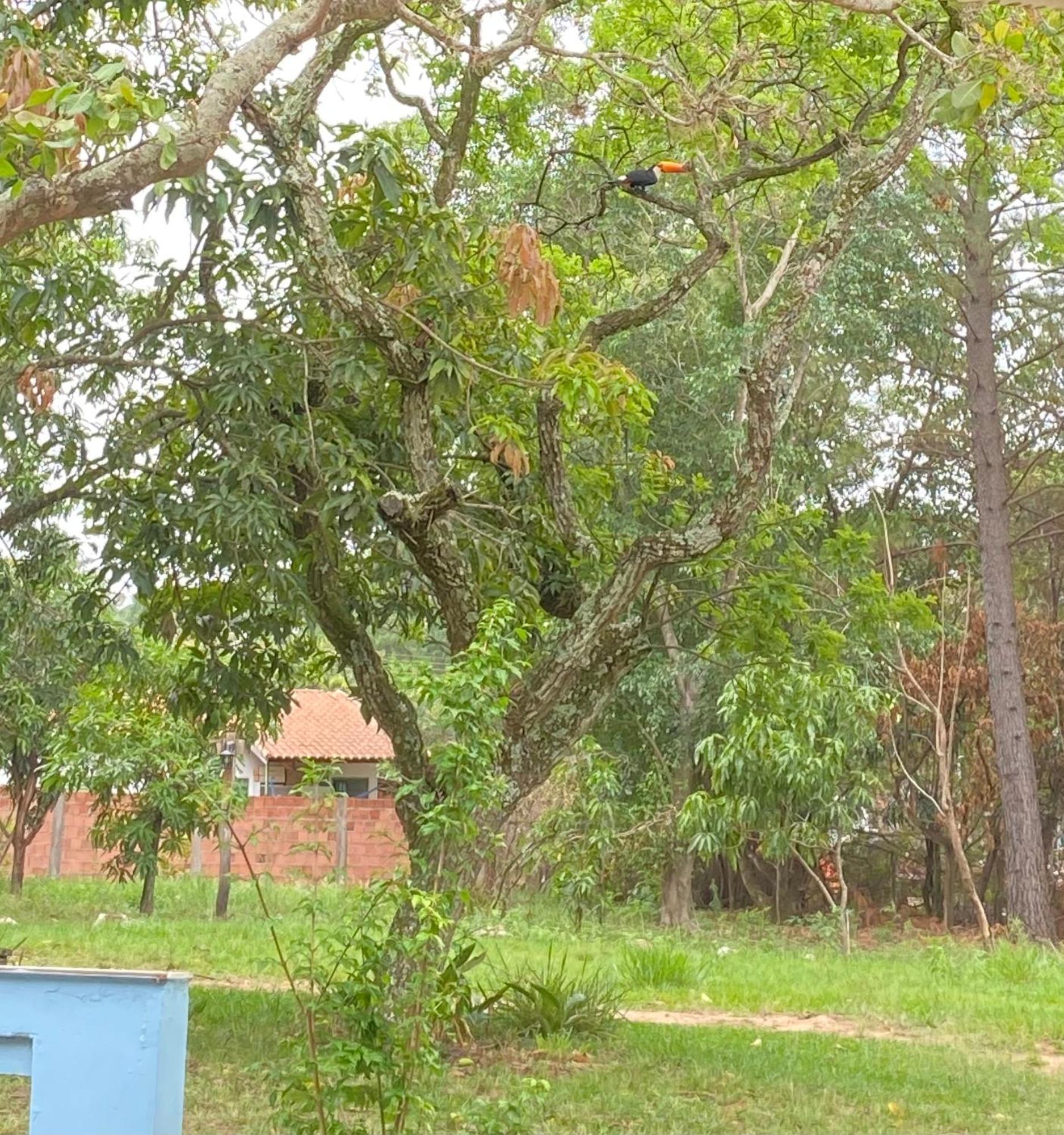 Quarto Privativo Chacara Pe Na Roca Brotas Exteriér fotografie
